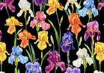 Big Floral Pattern Fabric, Multicolor Flowers Pattern Black backround Fabric - Whotex Online Fabric Store