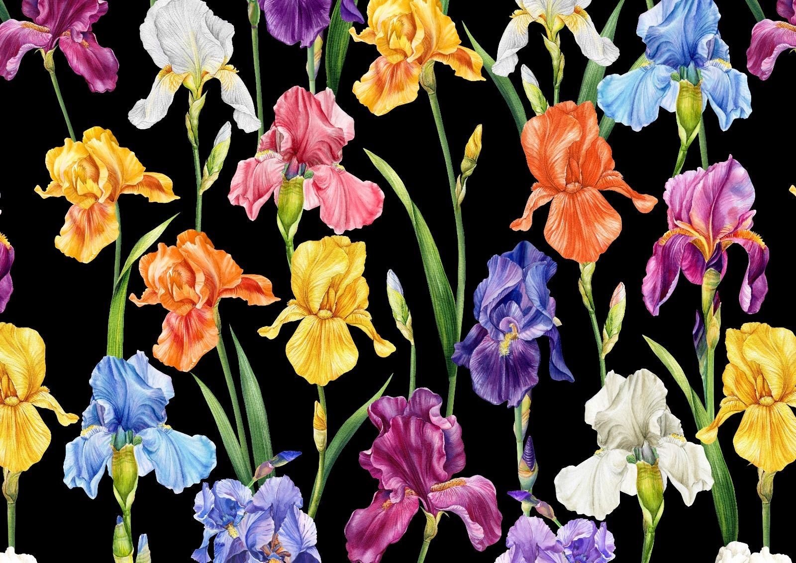 Big Floral Pattern Silky Satin Fabric, Multicolor Flowers pattern Black backround fabric - Whotex