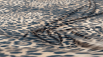 Classic Leopard Print Fashion Fabric by the Metre - Whotex Fabrics London