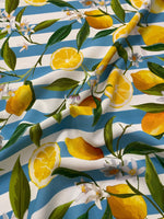Lemon and Floral Print Fabric on Blue White Stripes - Whotex Online Fabric Store