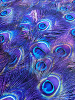 Peacock Feather Pattern Fabric, Purple Fabric By The Yard - Whotex Online Fabric Store
